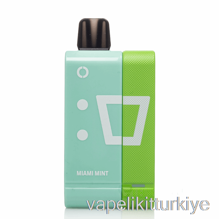 Elektronik Sigara Kalemi Vape Mate Off-stamp Sw9000 Tek Kullanımlık Kit Miami Nane